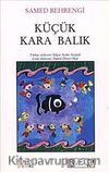 Küçük Kara Balık