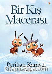 Bir Kış Macerası