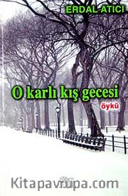O Karlı Kış Gecesi