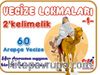 Vecize Lokmaları 1