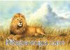 The King 1000 Parça Puzzle (40938)