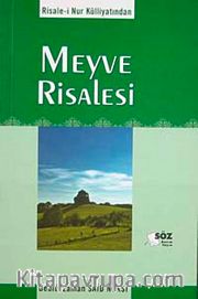 Meyve Risalesi / Orta Boy Cep