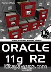 Oracle 11g R2 & Kurun, Çalıştırın, Kullanın, Yönetin!