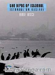 İstanbul'un Kuşları