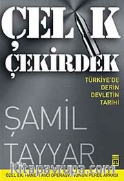 Çelik Çekirdek <br /> Türkiye'de Derin Devletin Tarihi