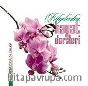 Hayat Dersleri Bilgelerden
