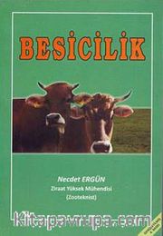 Besicilik