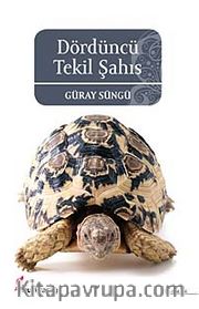 Dördüncü Tekil Şahıs