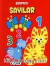 Sürpriz! Sayılar