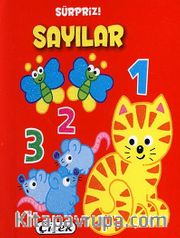 Sürpriz! Sayılar