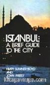 Istanbul: A Brief Guide To The City
