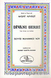 Niyazi Mısri Şerhi