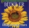 Bitkiler
