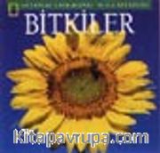 Bitkiler