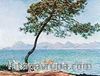 Antibes / Claude Monet (MCL 032-30x40) (Çerçevesiz)