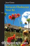 Sevincim Eksilmesin Yeter ki