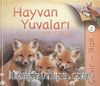 Çevir Bak / Hayvan Yuvaları