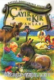 Çayır ve Kır Hayvanları / Hayvan Dostlarımız Dizisi