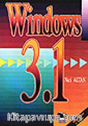 Windows 3.1