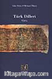Türk Dilleri
