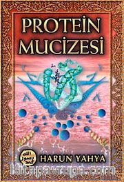 Protein Mucizesi