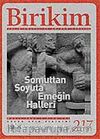 Birikim / Sayı: 217 Yıl: 2007 / Aylık Sosyalist Kültür Dergisi