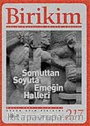 Birikim / Sayı: 217 Yıl: 2007 / Aylık Sosyalist Kültür Dergisi