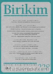 Birikim / Sayı: 228 Yıl: 2008 / Aylık Sosyalist Kültür Dergisi