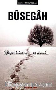 Busegah <br /> Düşsüz Kalanlara Şiir Okumak