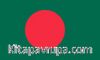 Bangladeş Bayrağı (20x30)