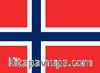 Norveç Bayrağı (20x30)