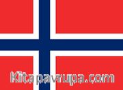 Norveç Bayrağı (20x30)