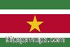 Surinam Bayrağı (70x105)
