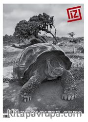 İz İki Aylık Fotoğraf Dergisi Sayı:46 Yıl:8 Temmuz - Ağustos 2013