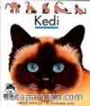 Kedi / İlk Kitaplarım Dizisi