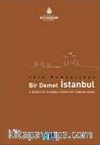 Türk Romanından Bir Demet İstanbul & A Bunch of İstanbul from the Turkish Novel