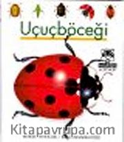 Uçuçböceği / İlk Kitaplarım Dizisi