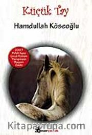 Küçük Tay