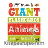 Giant Flashcards - Animals
