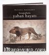 Fotoğraflarla Yaban Hayatı