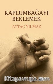 Kaplumbağayı Beklemek
