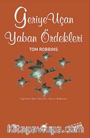 Geriye Uçan Yaban Ördekleri