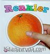 Renkler & Özel Şekilli Kart Kitabı
