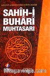 Sahih-i Buhari Muhtasarı (Tek Cilt) & Safvetu'l-Kari Bi İhtisari Sahihi'l-Buhari (İthal Kağıt)