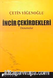 İncir Çekirdekleri-Denemeler