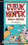 Çubuk Köpek Donut Peşinde
