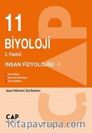 11. Sınıf 2. Fasikül İnsan Fizyolojisi 1