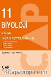 11. Sınıf 3. Fasikül İnsan Fizyolojisi 2