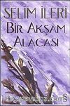 Bir Akşam Alacası