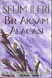 Bir Akşam Alacası